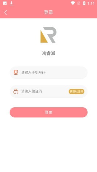 鸿睿派图2