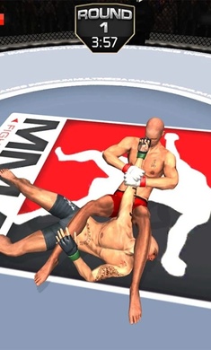 MMA格斗冲突图1