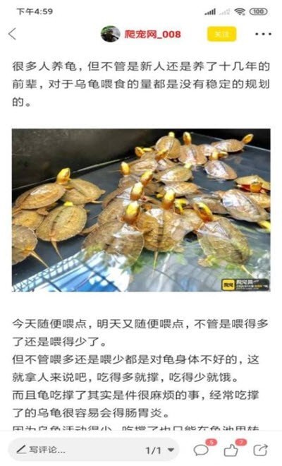 萌宠来了app手机版图1