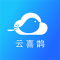 云喜鹊图标