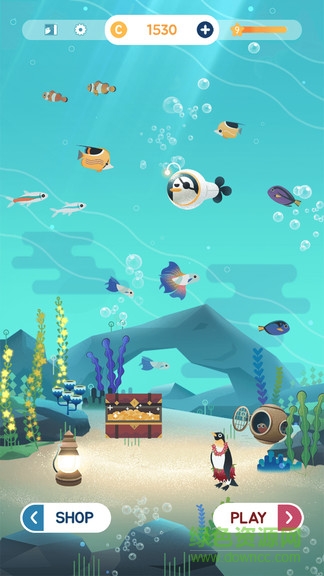 水族馆之谜截图3