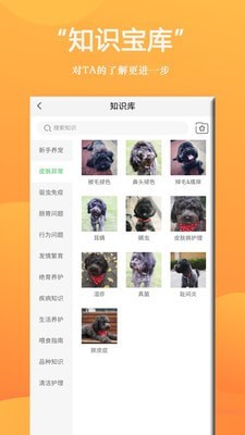 狗狗Bing商城图4