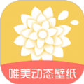 唯美动态壁纸图标