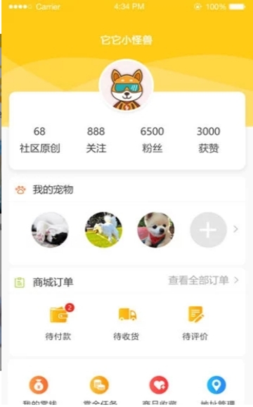 我爱我宠app