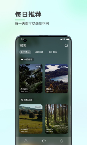 森林白噪音图1