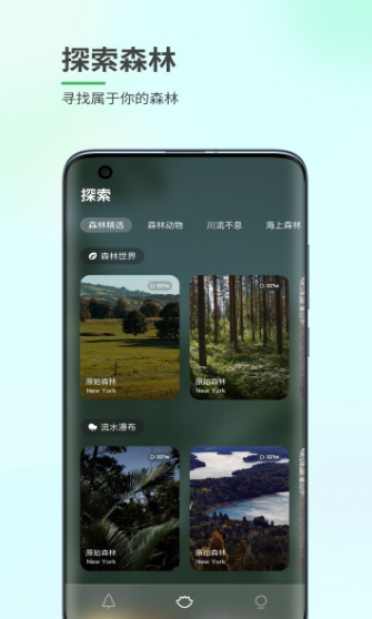 森林白噪音图3