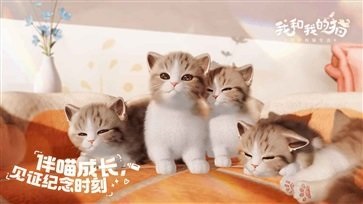 我和我的猫手游图2