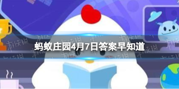 莴笋的叶子能吃吗蚂蚁庄园4月7日答案早知道