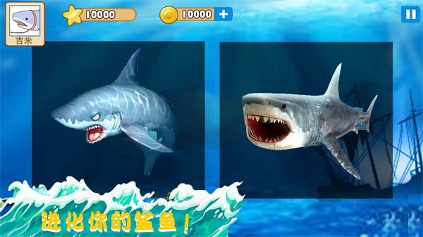 大白鲨真实模拟手游