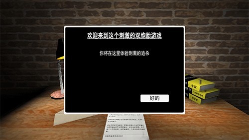 惊魂双胞胎图5