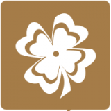 老人拨号王app