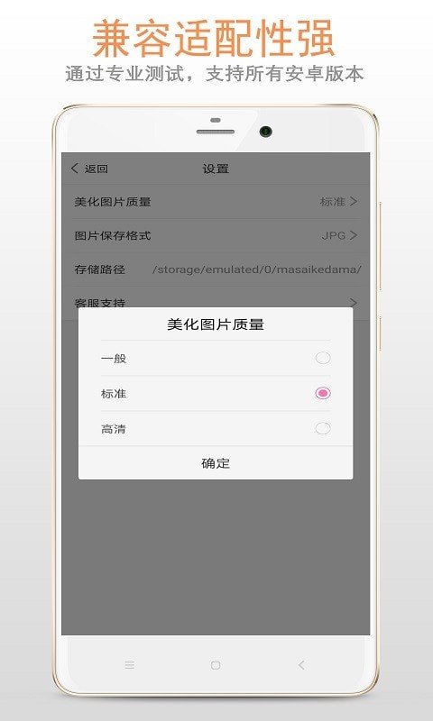 马赛克打码专家