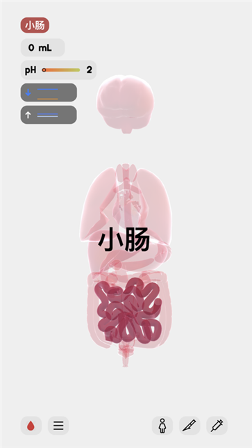 life生命模拟器