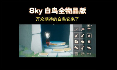 芥子空间sky白鸟版图3