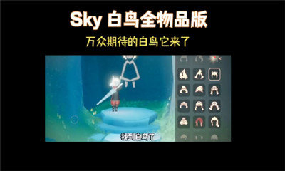 芥子空间sky白鸟版截图4