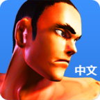 功夫之拳中文版