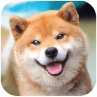 秋田犬模拟器(AkitaDogSimulator)