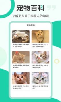 猫语翻译机图3