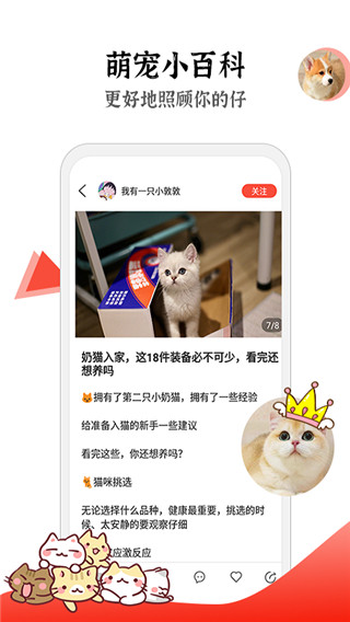 猫猫社图1