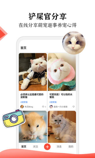 猫猫社app官网版图1