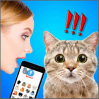 猫狗语言翻译器中文版