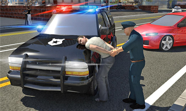 警车驾驶模拟器图4