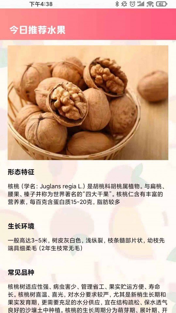 西瓜对对碰图2