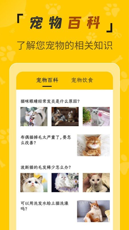 人猫翻译机图2