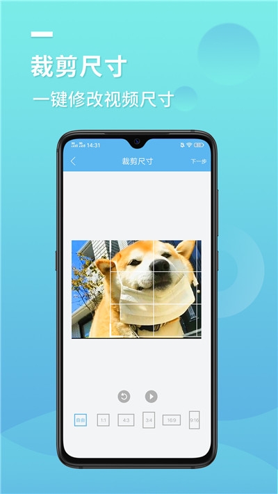 快去水印宝app
