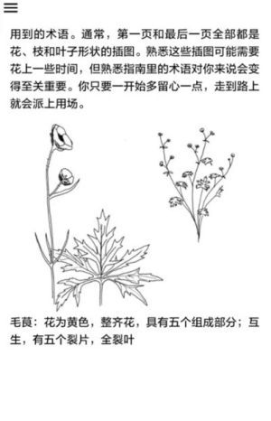 野外植物识别手册图1