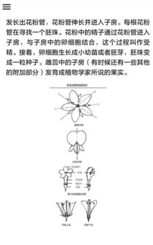 野外植物识别手册图2