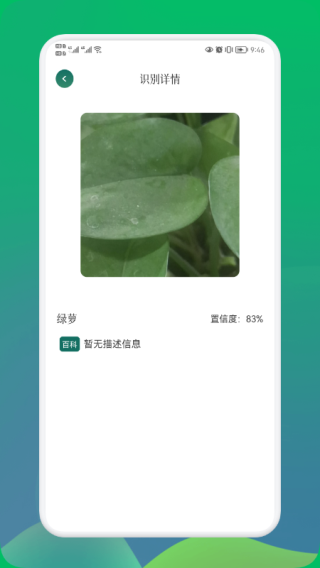 小园丁手机版图3