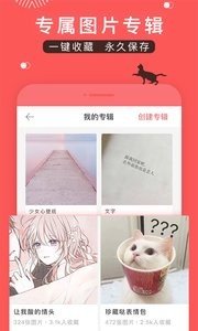 堆糖app官方版正版