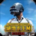 pubgmobile国际服安卓