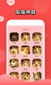 人猫交流器图3