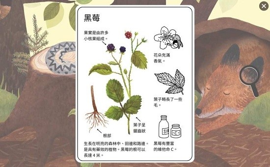 小棕鼠的自然生态百科图2