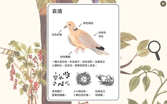 小棕鼠的自然生态百科图3