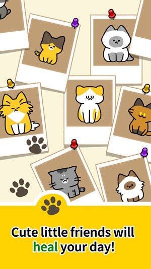 猫咪幼儿园图3