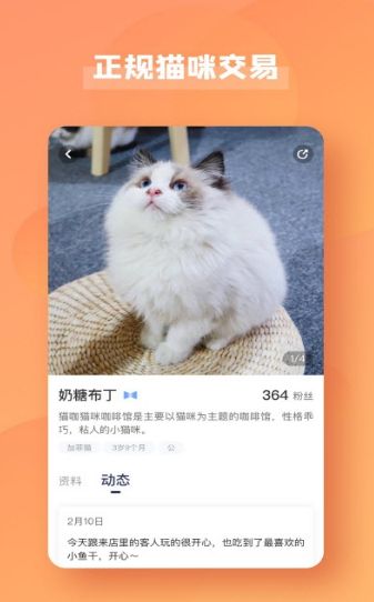 宠酱手机版图2