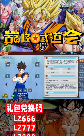 巅峰武道会图2