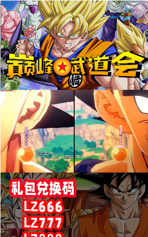 巅峰武道会图4