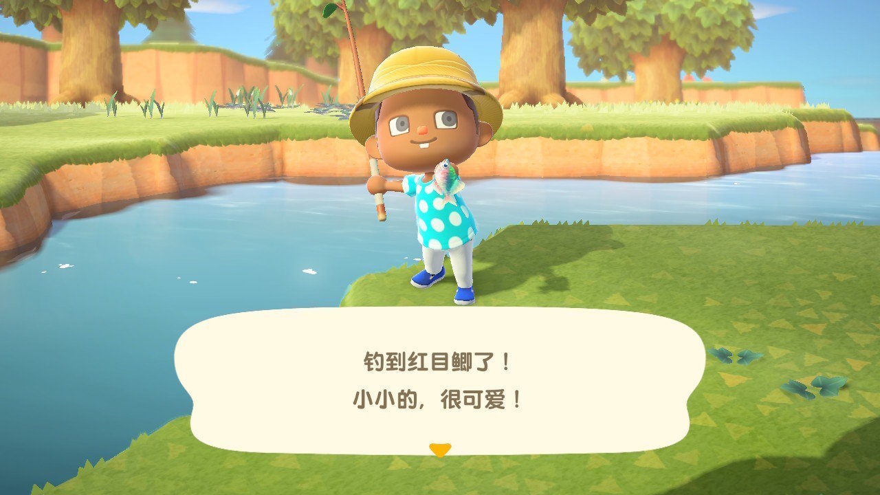 动物之森(PocketCamp)