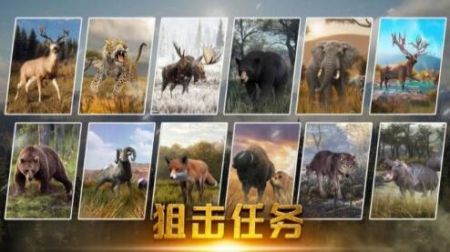 终结荒野精英图1