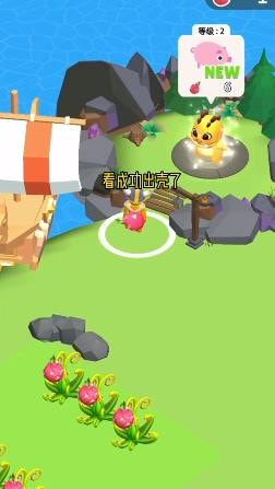 萌宠一起上图2