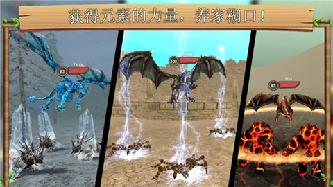 驯龙高高手图3