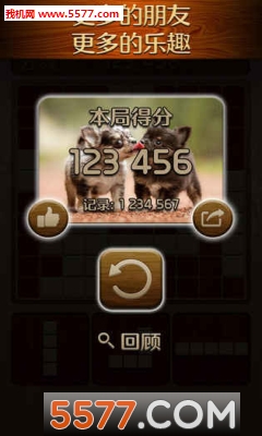 WoodyPuzzle安卓版图2
