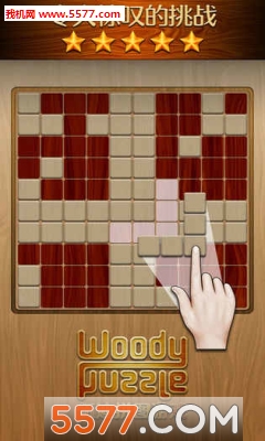 WoodyPuzzle安卓版图3