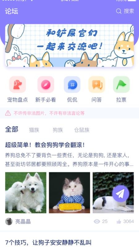 宠它安卓版图1