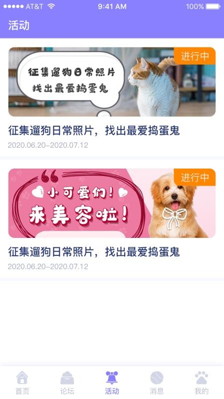 宠它安卓版图3