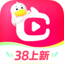 点淘app官方版